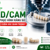 CAD/CAM Trong Phục Hình Răng Sứ | Công Nghệ Nha Khoa Hiện Đại