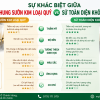 So Sánh Răng Sứ Khung Sườn Kim Loại Quý Và Răng Sứ Toàn Diện Không Kim Loại
