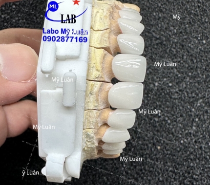 Thứ sáu vui vẻ, mỗi ngày mỗi kiểu dáng và màu sắc khác nhau nhe quý khách. Hi